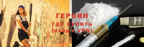 индика Новозыбков