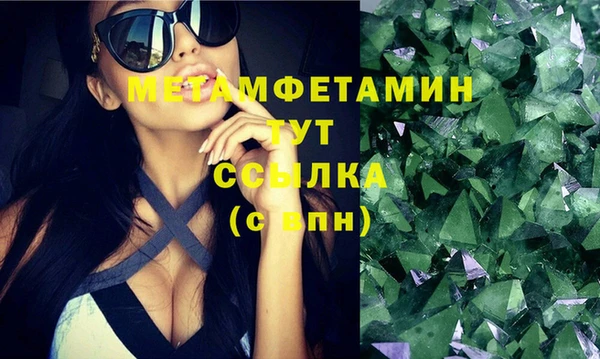 индика Новозыбков