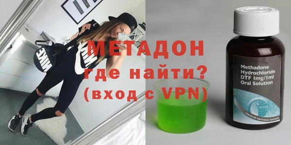 индика Новозыбков
