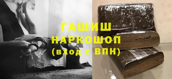 индика Новозыбков