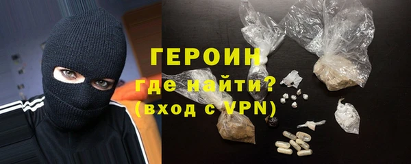 индика Новозыбков