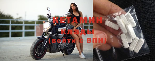 индика Новозыбков