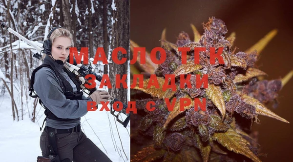 индика Новозыбков