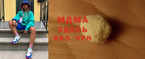 индика Новозыбков
