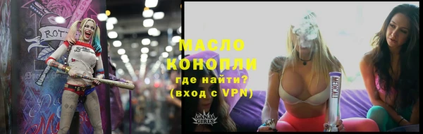 индика Новозыбков