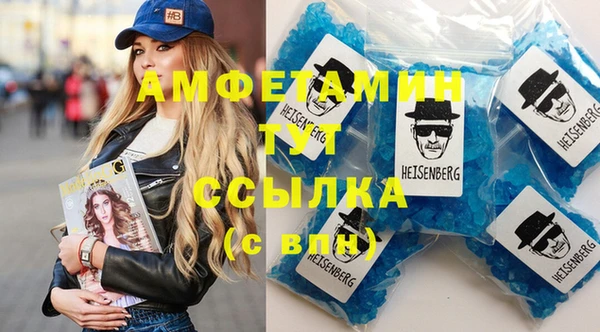 индика Новозыбков