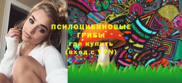 меф Новодвинск