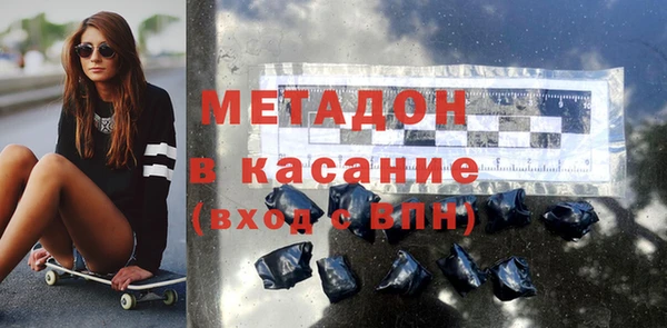 прущие грибы Сясьстрой
