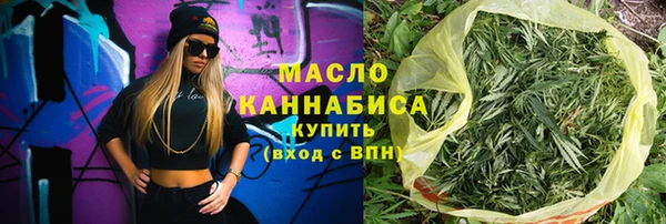 индика Новозыбков