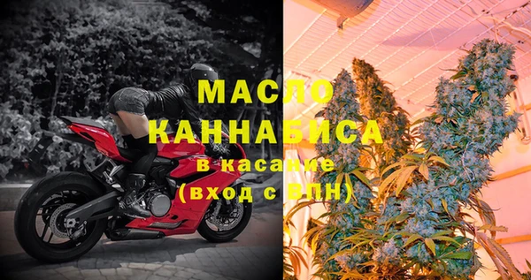 индика Новозыбков