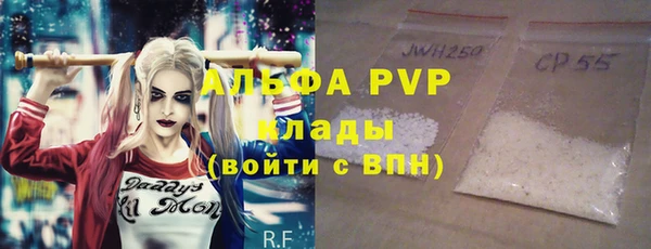 индика Новозыбков