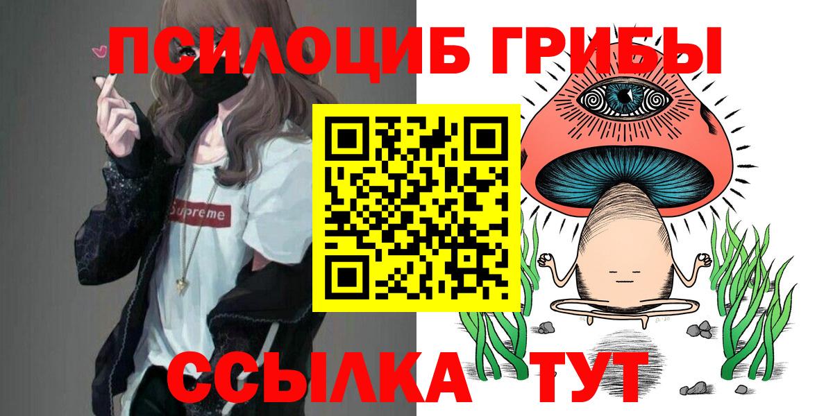 Галлюциногенные грибы Cubensis Североуральск