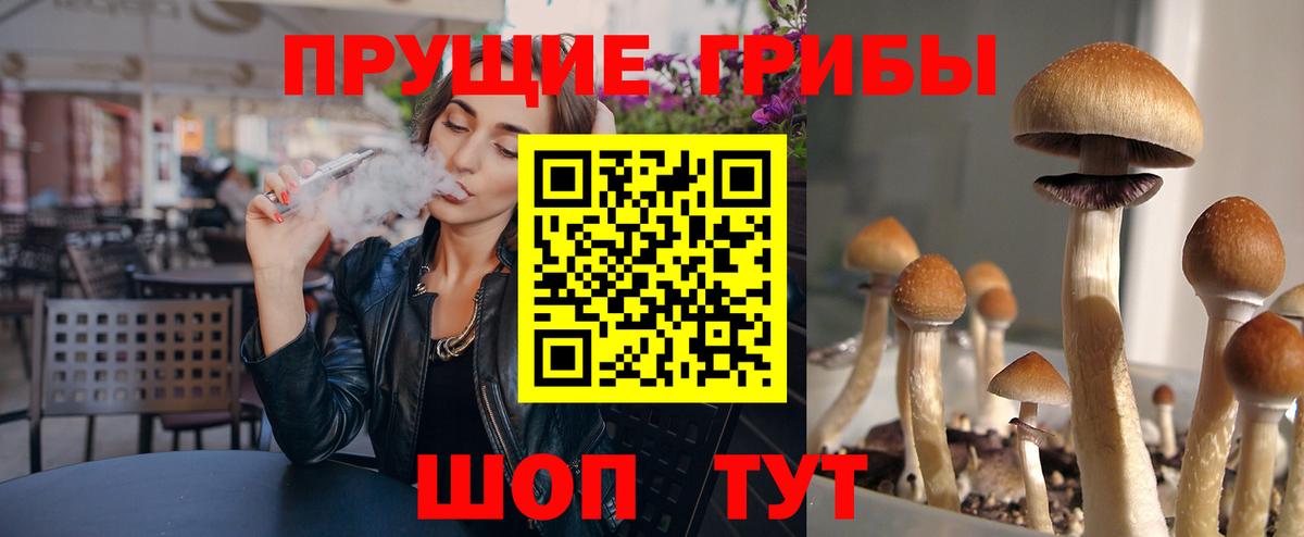 Североуральск  Галлюциногенные грибы мухоморы  Вход с VPN 