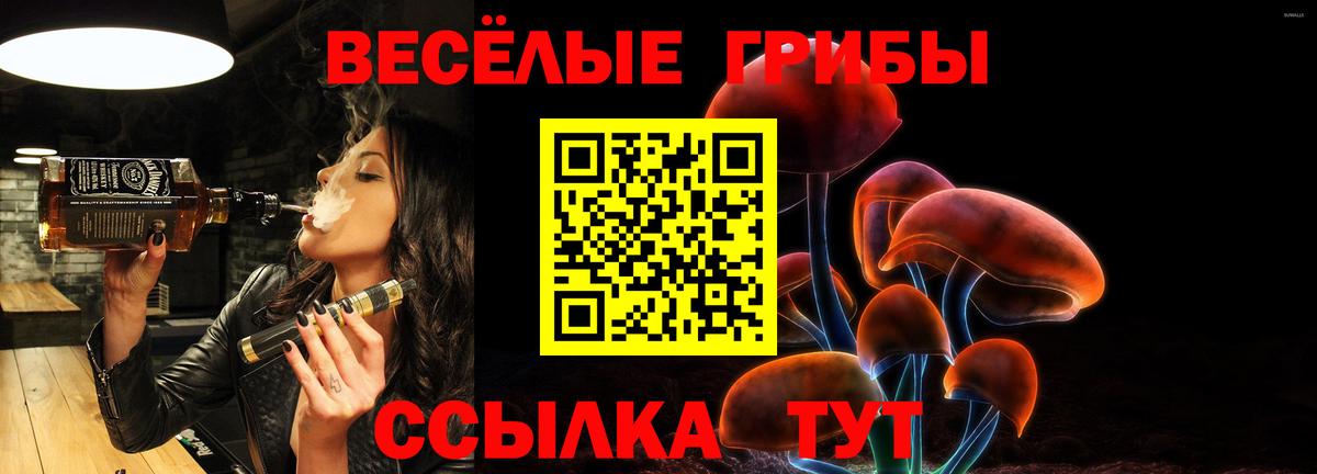 Псилоцибиновые грибы GOLDEN TEACHER Североуральск